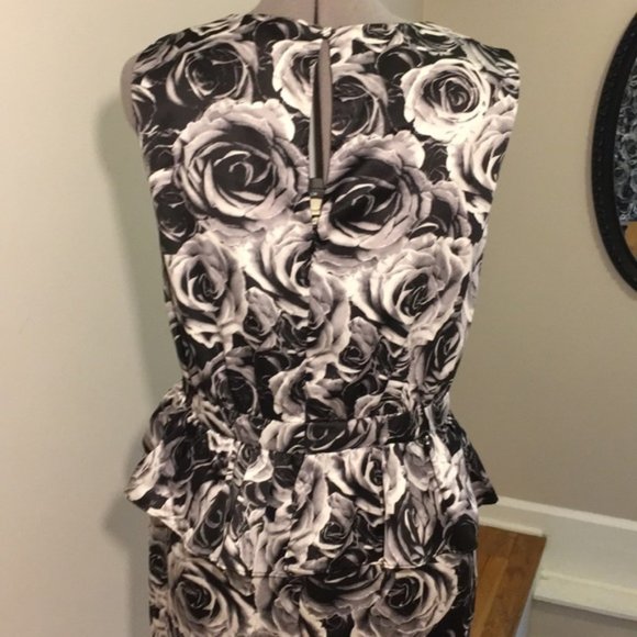 Kate Young for Target Roses & Ruffles Dress - Picture 2 of 8